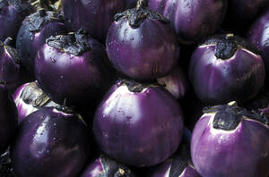 Vetuccia-Markt, Palermo, Sizilien, Italien - 00514HS