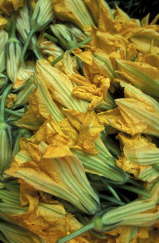 Courgette, full frame stock photo