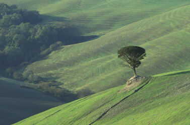 Italien, Toskana, Volterra, Landschaft - 00487HS