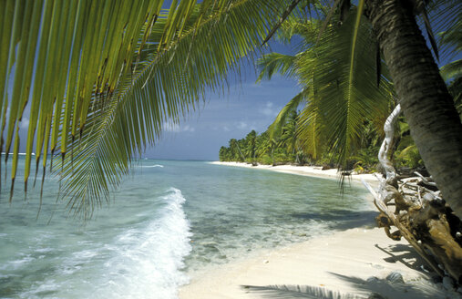 Australien, Cocos Keeling, Palmen am Strand - 00486GN