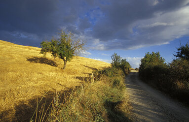 Southern Tuscany, near Castell' Azzara - 00343GS