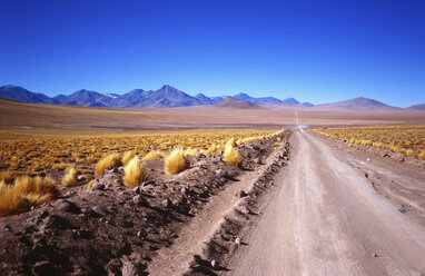 Atacama Highway, Chile - 00002AG