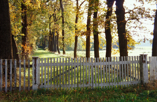 Zaun, der die Zufahrt zu einer Allee versperrt, bei Nortrup, Osnabrueker Land, Norddeutschland - MS01372