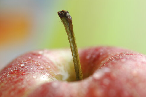 Extreme close up of apple - AS01141