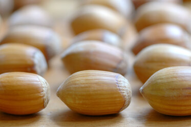 Hazelnuts, close up - AS01037