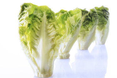 Romaine lettuce - 01474CS-U