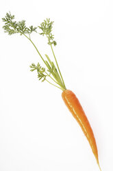 one fresh carrot, cut-out, white background - 01423CS-U