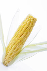 Corn cob, close-up - 01385CS-U