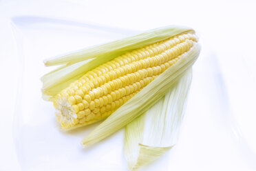 Corn cob, close-up - 01384CS-U