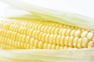 Corn cob, close-up - 01383CS-U