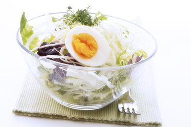 Gemischter Salat mit Ei - 01107CS-U