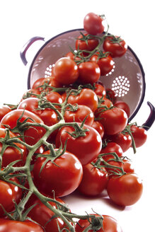 Tomaten in einem Sieb - 01049CS-U