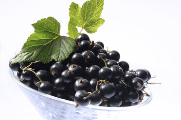 Black currants in bowl, close-up - 00921CS-U