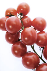 Tomatoes, close-up - 00871CS-U