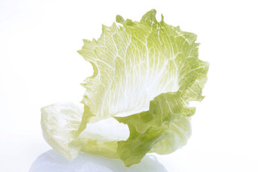 Iceberg Lettuce Leaf - 00866CS-U