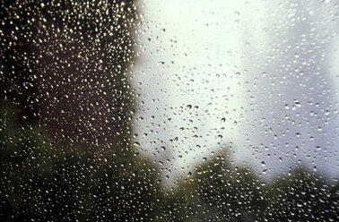 Rain drops - 00825MS