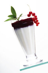 Red current and yogurt drink - 00783CS-U