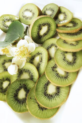 Sliced kiwis, elevated view - 00572CS-U