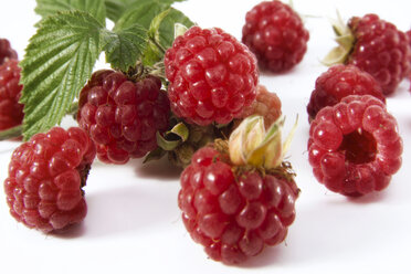 Himbeeren, Nahaufnahme - 00547CS-U