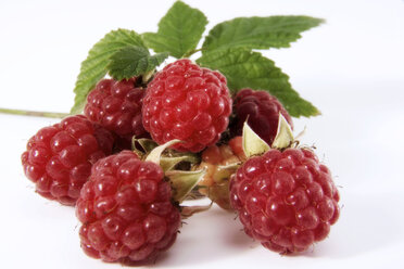 Himbeeren, Nahaufnahme - 00546CS-U