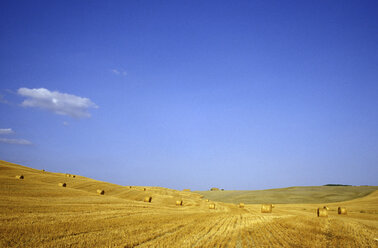 Italien, Südliche Toskana bei Pienza - 00342GS