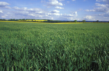 Germany, Bavarian, spring - 00317GS