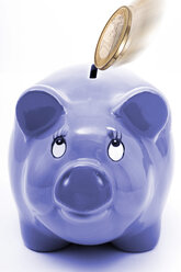 piggy bank - 00260CS-U