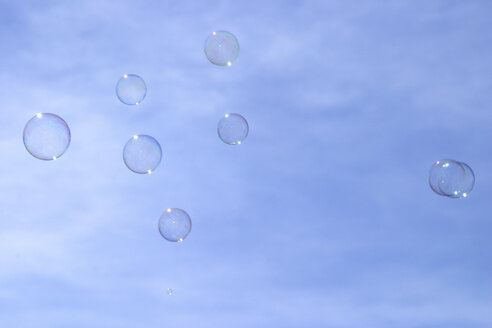 Soap bubbles - 00058MN