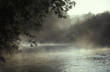 Deutschland, Bayern, Fluss im Nebel - 00025MO