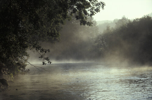 Germany, Bavaria, river in mist - 00025MO