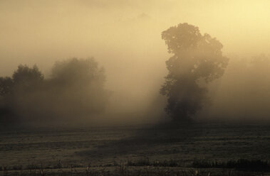 Germany, Bavaria, near Ammersee, dawn - 00024MO