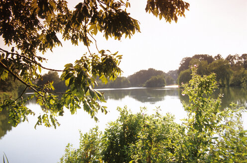 See bei Ankum, Osnabrücker Land, Deutschland - MSF01507