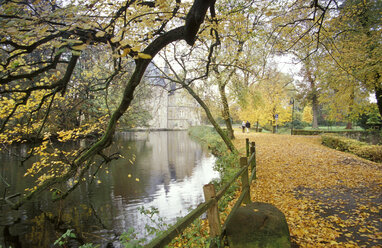 Osnabrücker Land, Deutschland, Herbstspaziergang entlang der Schelenburg - MSF01496