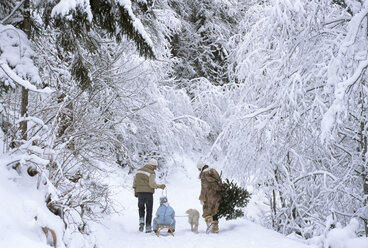 Familie beim Spaziergang im Schnee, Rückansicht - HHF00026