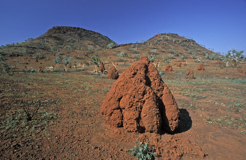 Australien, Termitenhügel in der Wüste - GWF00150