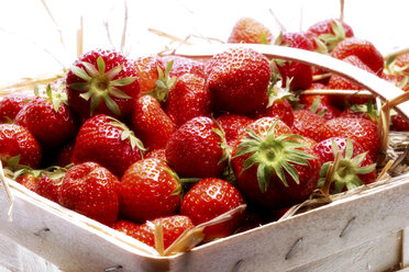 Frische Erdbeeren in einem Korb - 01669CS-U