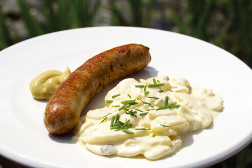 Bratwurst mit Kartoffelsalat - 01581CS-U