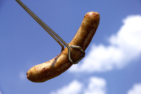 fGerman Bratwurst, fried sausage - 01576CS-U