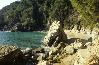 Spain, Catalonia, Costa Brava, water's edge - MS01198