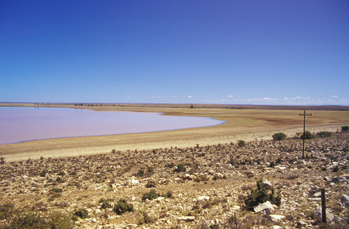 Südafrika, Volstruisleegte, Ostkap, Große Karoo, Beervlei Dam, flache Karoo-Landschaft - MS01127