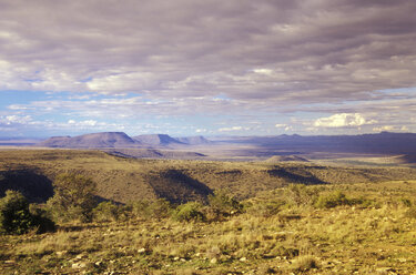 Südafrika, Ostkap, Mountain Zebra National Park, Cradock, Karoo - MS01119