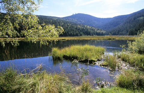 Kleiner Arbersee, Bayerischer Wald, Deutschland, lizenzfreies Stockfoto