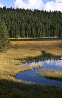 Germany, Bavarian forest, Großer Arbersee - HSF00916