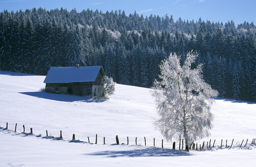 Germany, Bavarian forest, near Breitenberg - HSF00911