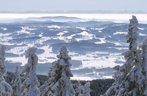 Deutschland, Bayerischer Wald, Dreisessel - HSF00910