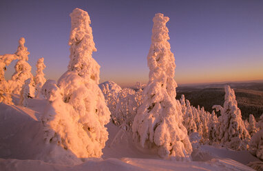 Deutschland, Bayerischer Wald, Großer Arber - HSF00909