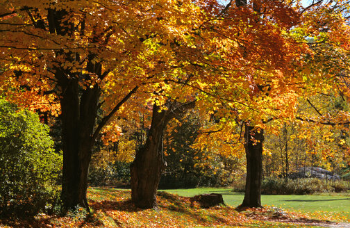 USA, Vermont, Green Mountains - HS00905