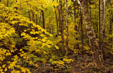 USA, White Mountains, New Hampshire stock photo