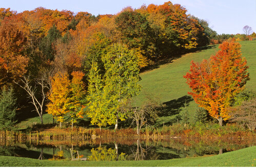 USA, Vermont, Green Mountains - HS00903