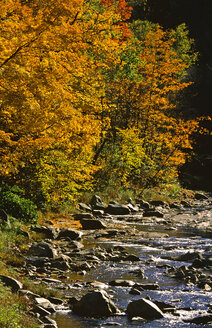 USA, Vermont, Green Mountains - HS00902